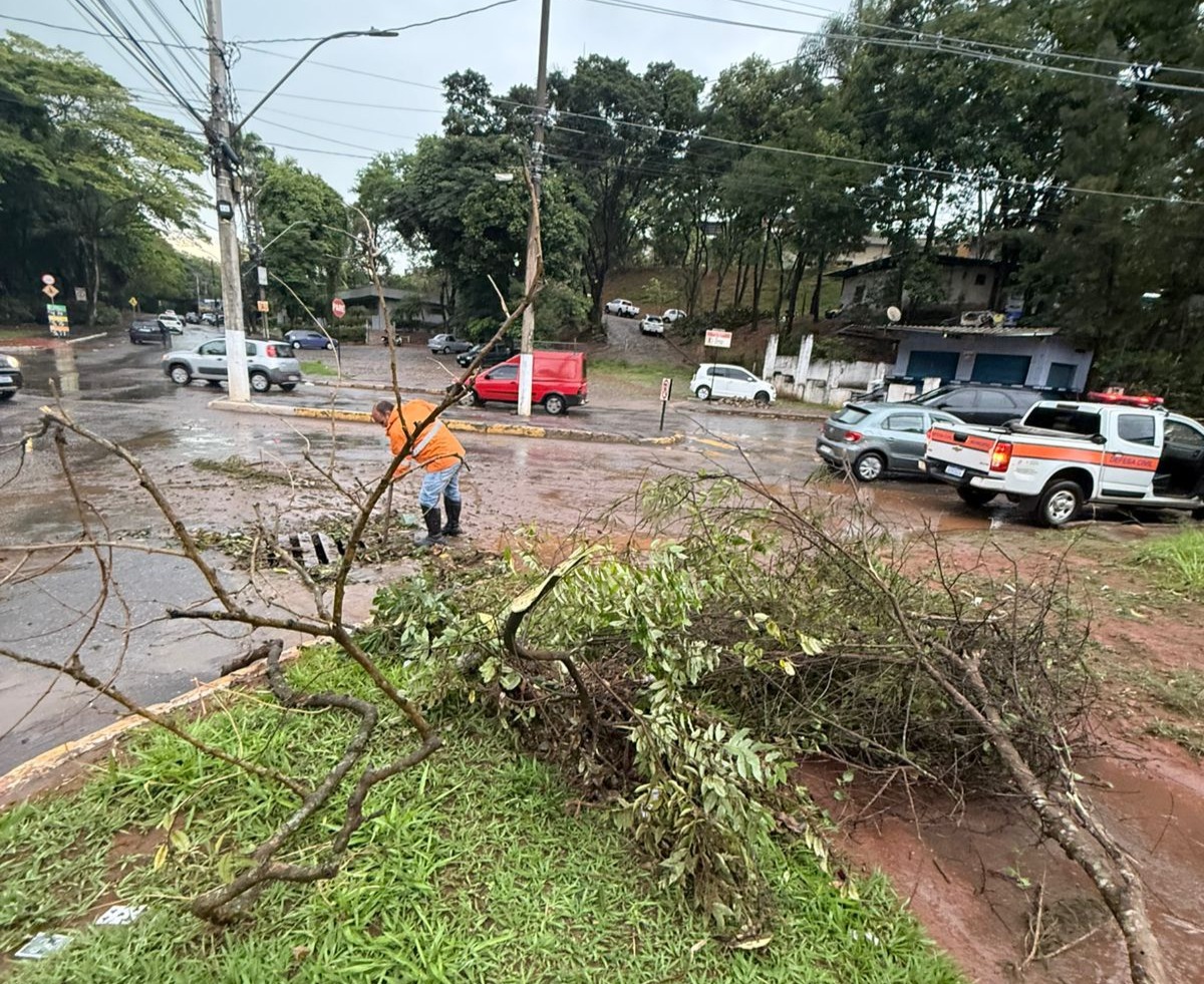 Imagem da Noticia: 685e8717028f00775208e5785f975277.jpg