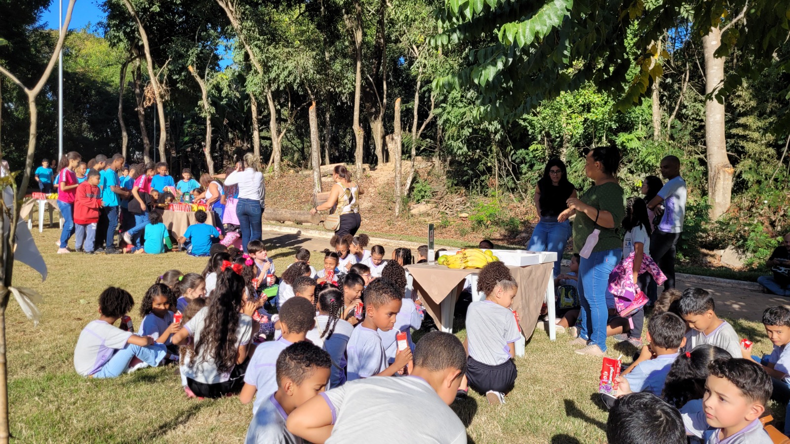 Imagem da Noticia: bea65fab6728d44696cbc219616219e1.jpg