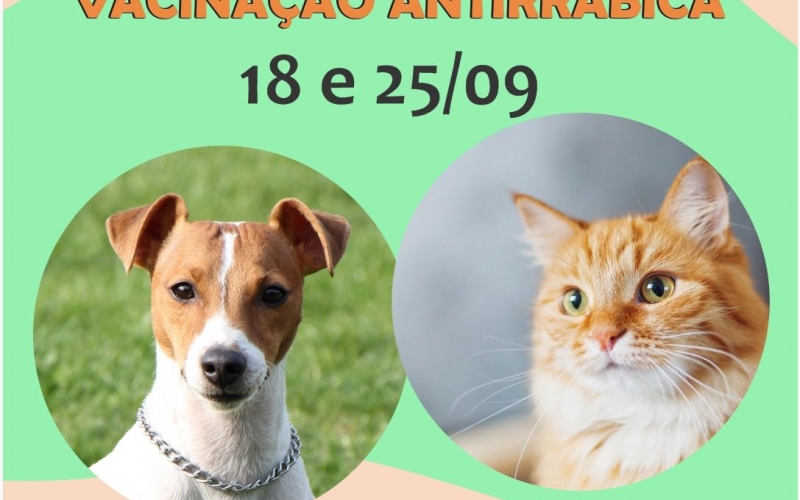 Prefeitura vacina cães e gatos dias 18 e 25 de setembro