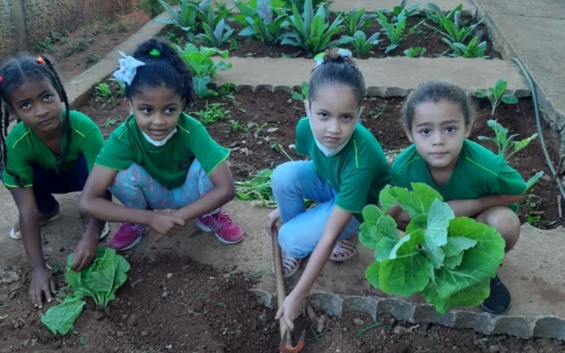 Área ociosa da Escola Municipal Cicinha Moura servirá como horta comunitária